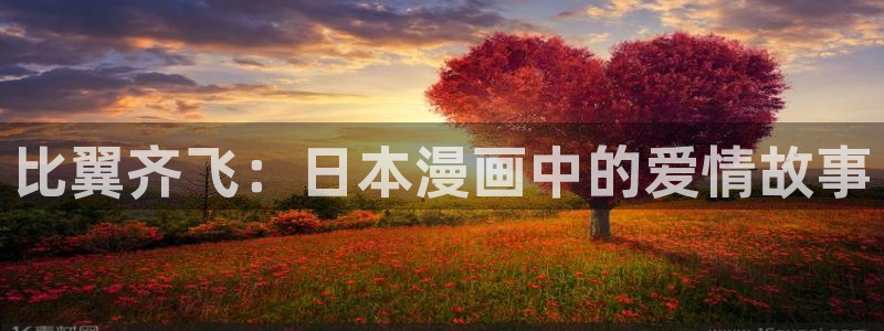 耽漫网之家动漫之家改名叫什么：比翼齐飞：日本漫画中的爱情故事