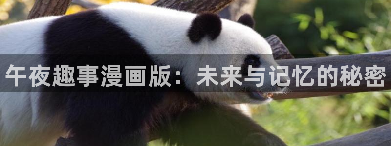 耽漫网之家动漫之家：午夜趣事漫画版：未来与记忆的秘密