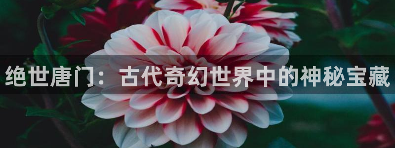 耽耽漫网：绝世唐门：古代奇幻世界中的神秘宝藏